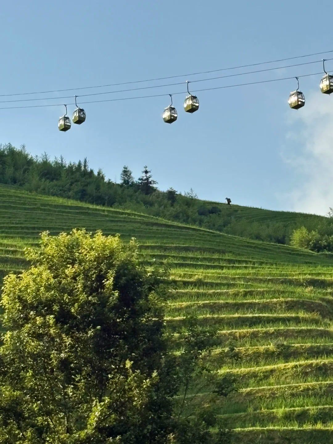 Kabinen der Seilbahn über grünen Sommerterrassen