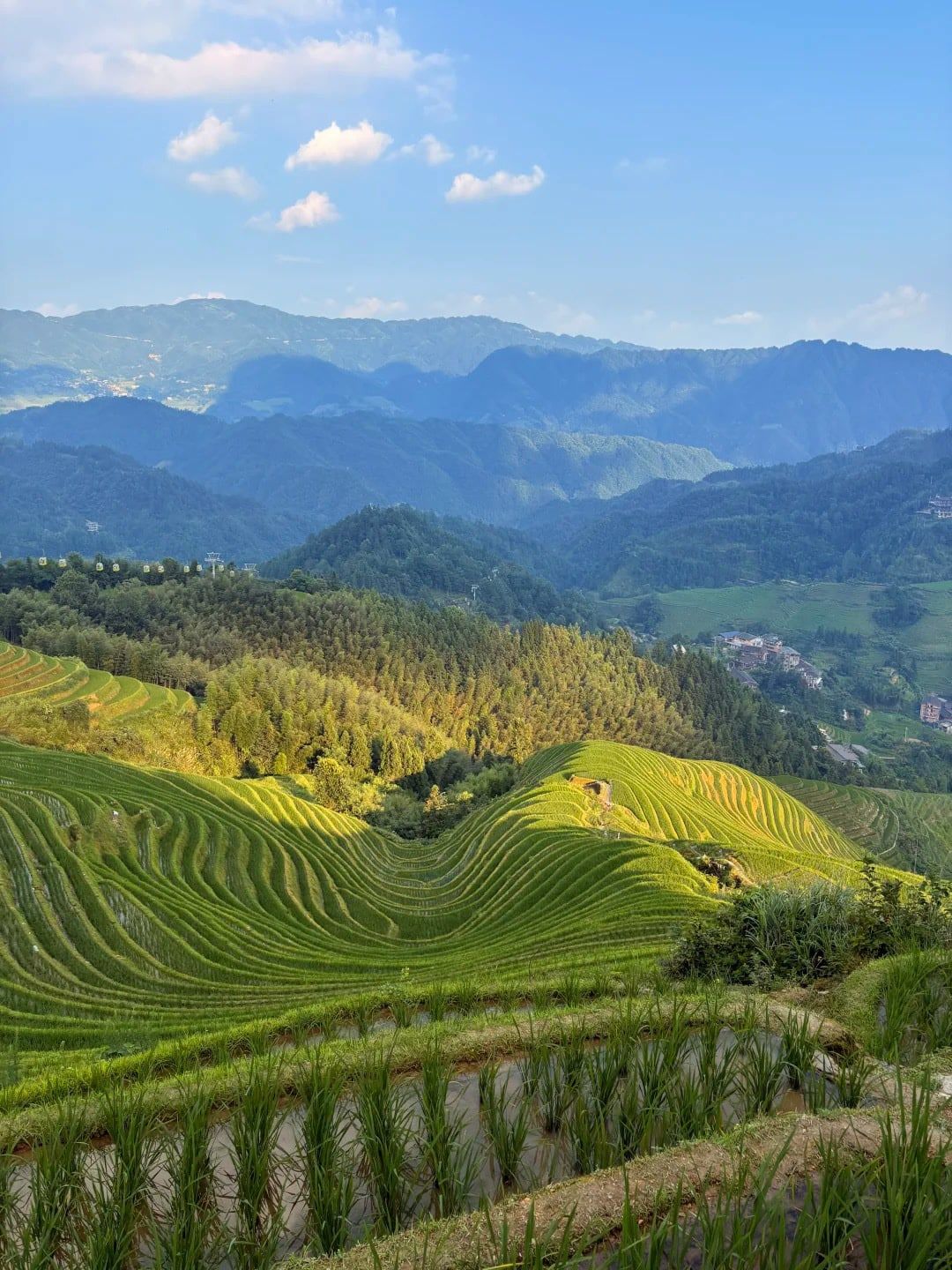 Grüne Terrassen und blaue Bergrücken unterhalb des Goldenen Buddha-Gipfels