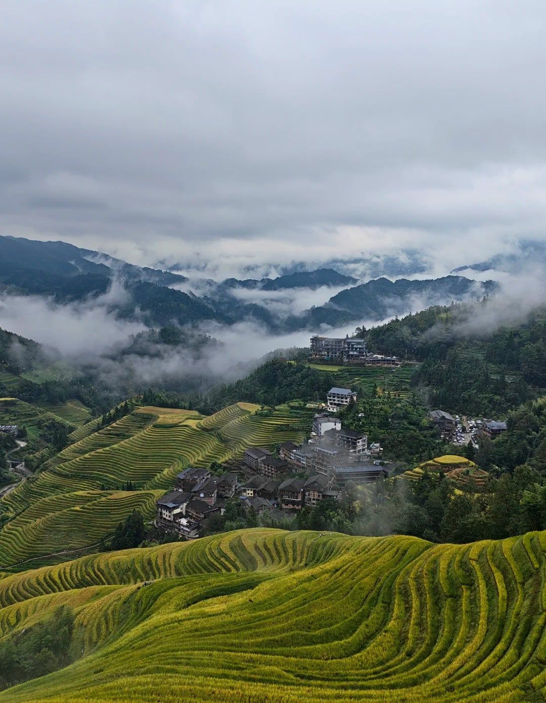 Goldene Terrassen unter einem Dorf, Wolken ziehen durchs Tal