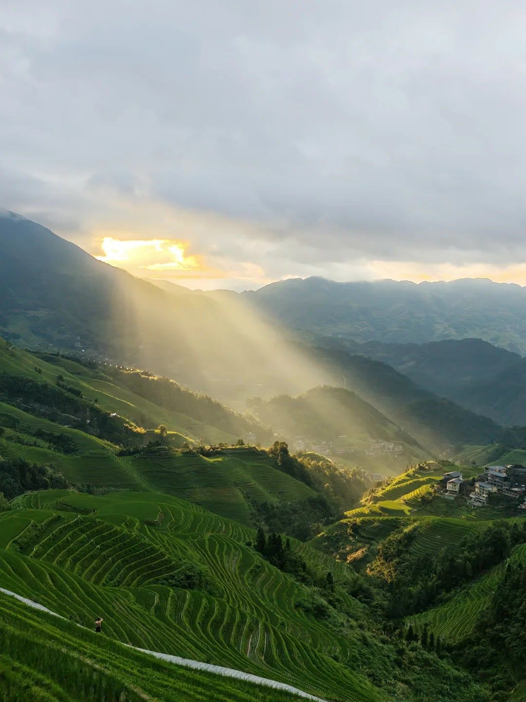 Sonnenstrahlen fallen bei Sonnenaufgang in ein Tal voller grüner Terrassen