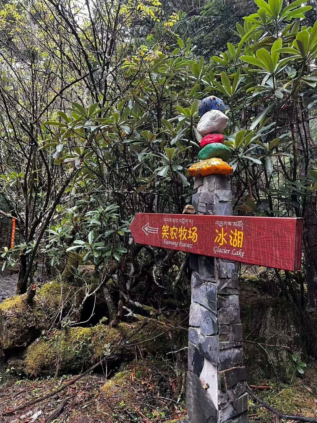 Ein roter Wegweiser zur Weide Xiaonong und zum Gletschersee auf einer Schieferstele mit bemalten Steinen, mitten im Rhododendronwald