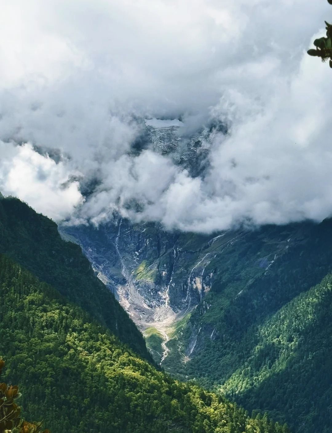 Ein halb in Wolken verborgener Gletscher über einem tiefen bewaldeten Tal, seine Schmelzwasserbäche laufen über blanken Fels hinab