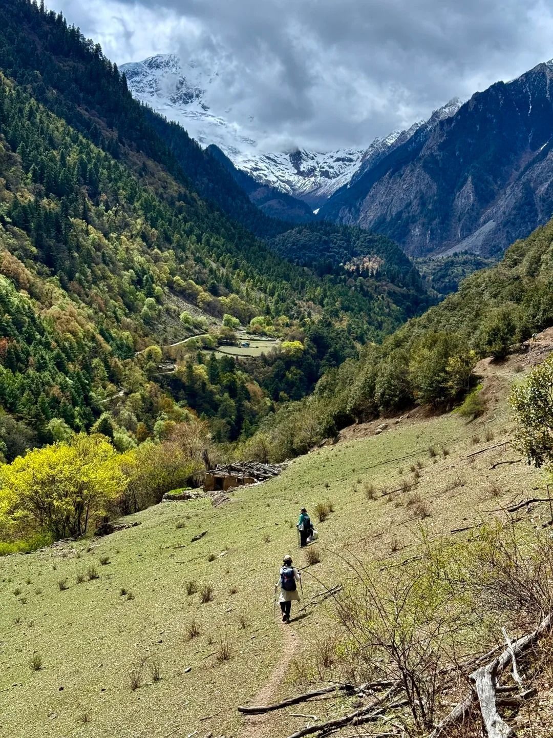 Zwei Wanderer auf einem schmalen Pfad einen Grashang hinab, vor ihnen ein bewaldetes Tal und Schneegipfel unter Wolken