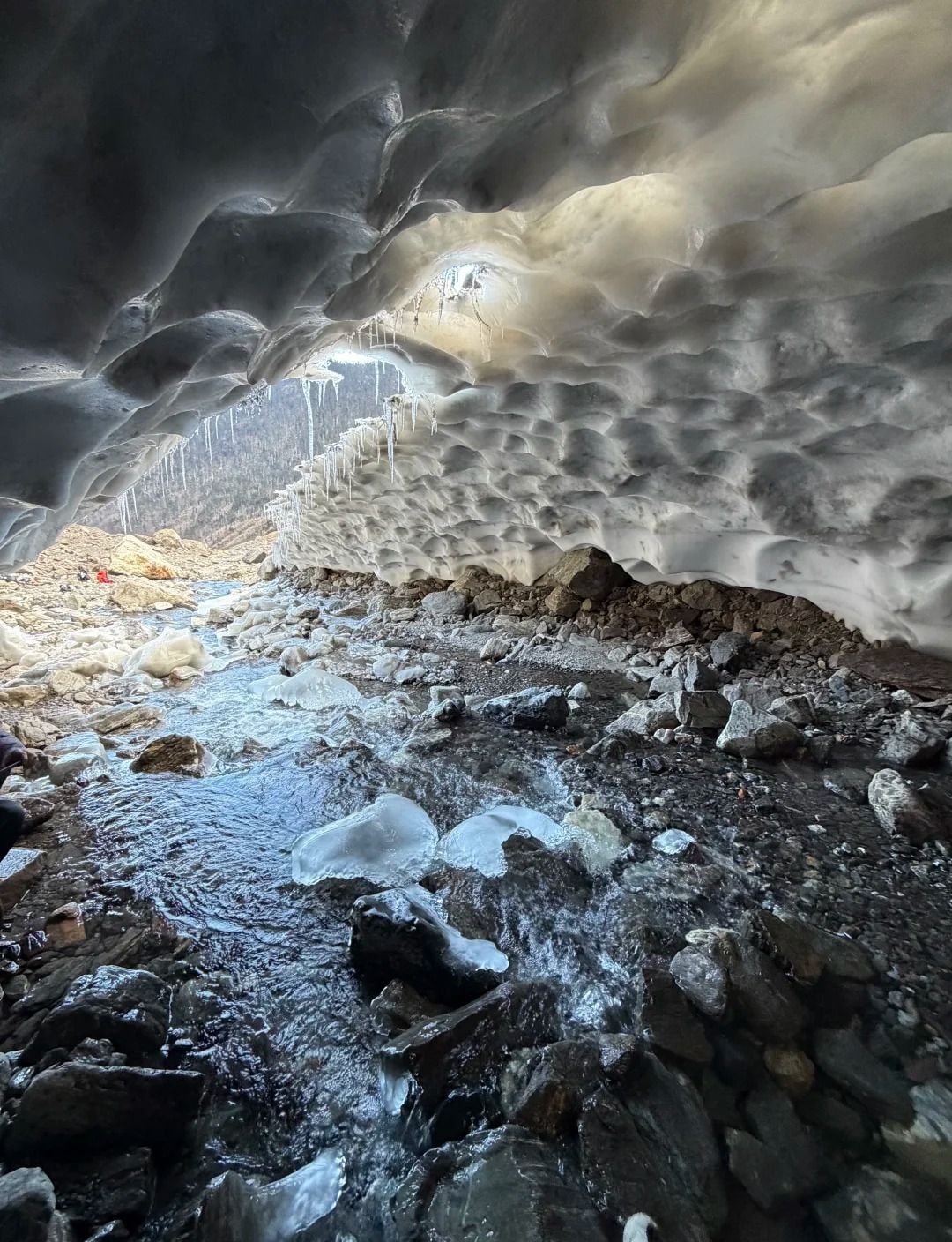 Im Inneren einer Eishöhle mit gewellter Decke und Eiszapfen, Schmelzwasser fließt über dunkle Steine zum Wald draußen