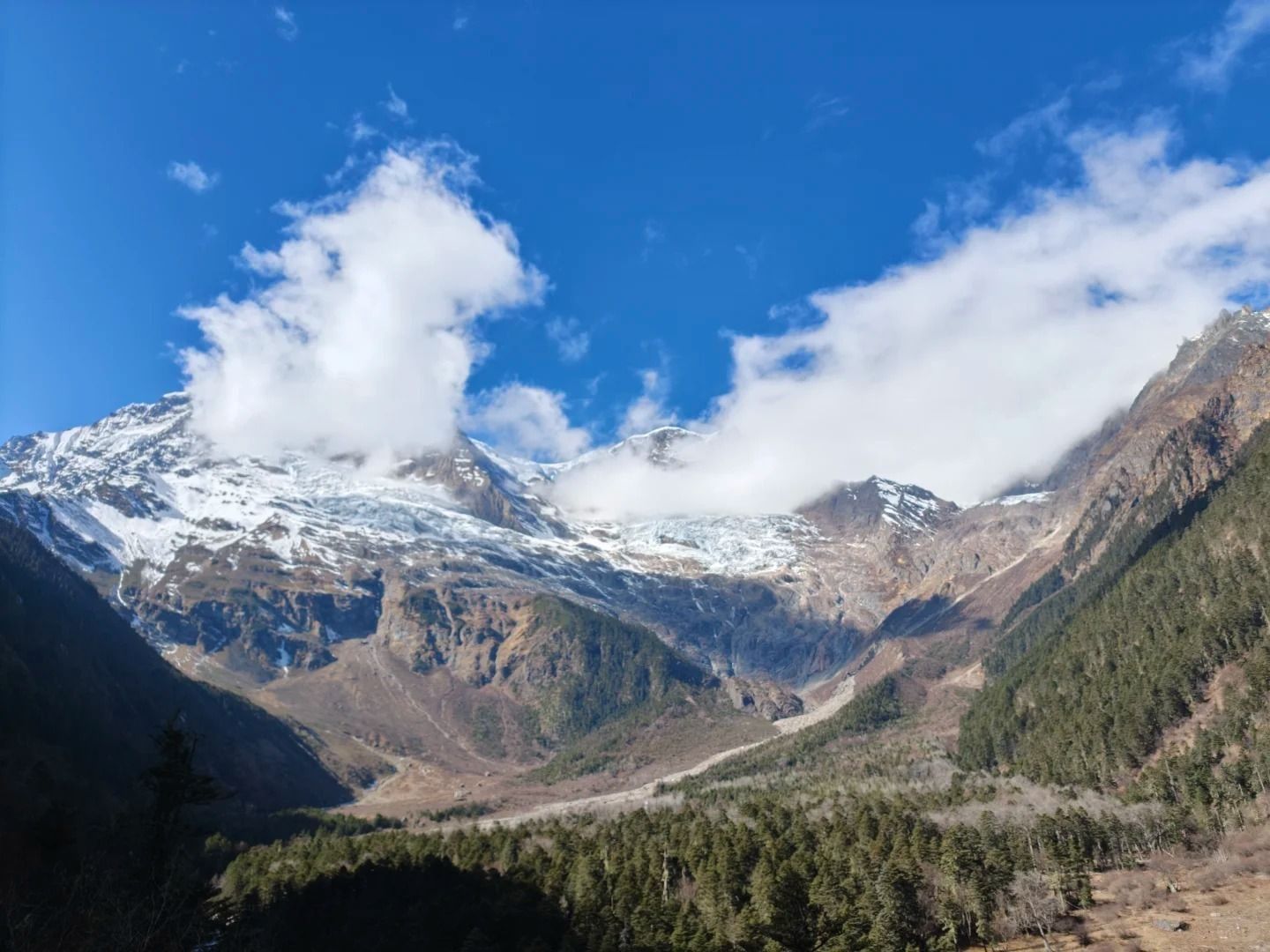 Schneebedeckte Gipfel und ein Gletscher über einem weiten Tal mit Nadelwald und trockenem Flussbett, unter blauem Himmel mit weißen Wolken