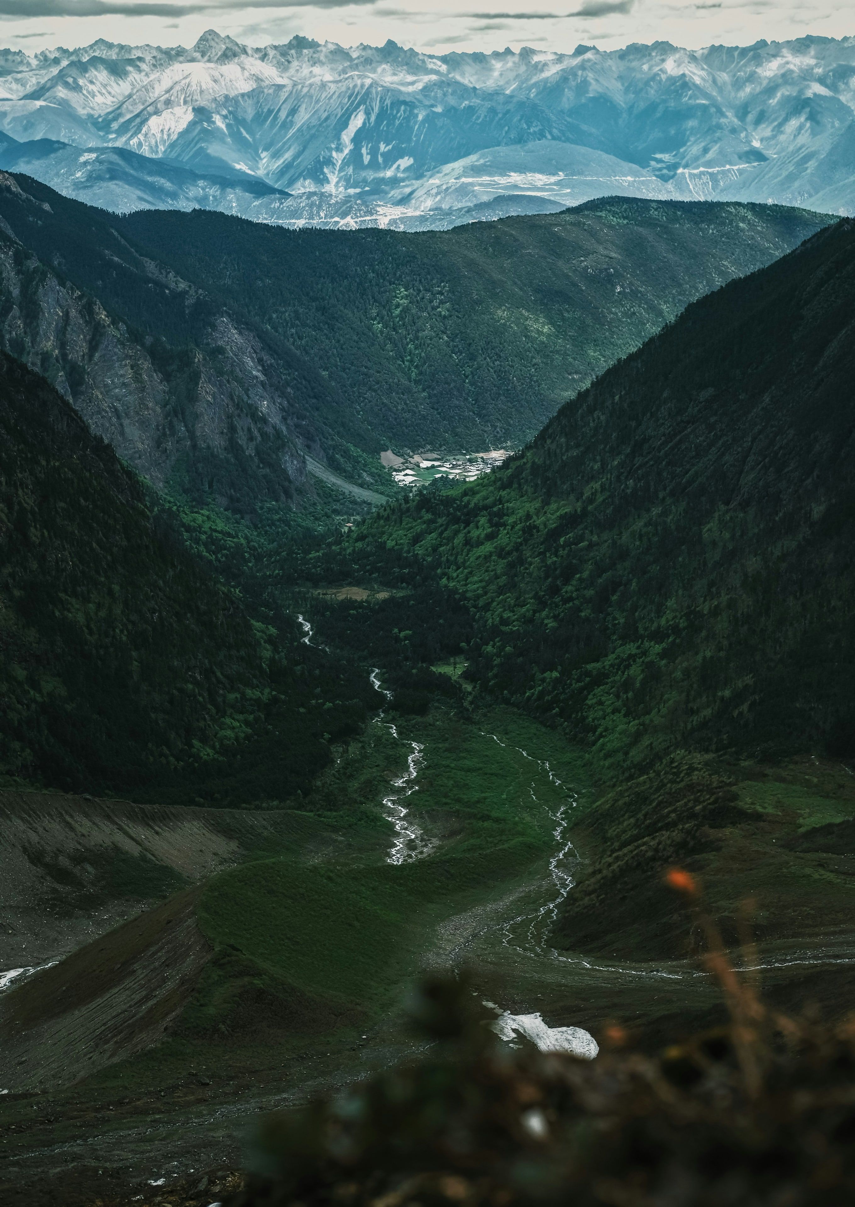 Looking down a deep green valley with a braided stream to a village in the forest, a long row of snowy ranges on the horizon